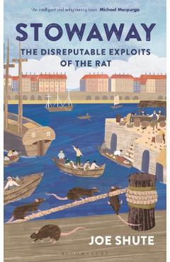 Stowaway: The Disreputable Exploits of the Rat - Joe Shute