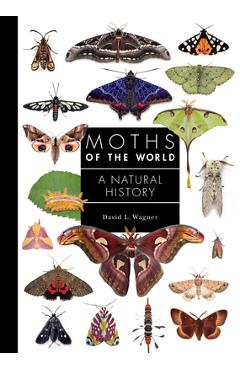 Moths of the World: A Natural History - David Wagner