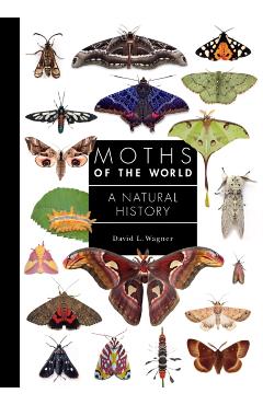 Moths of the World: A Natural History - David Wagner