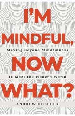 I'm Mindful, Now What?: Moving Beyond Mindfulness to Meet the Modern World - Andrew Holecek