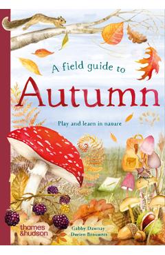 A Field Guide to Autumn: Play and Learn in Nature - Gabby Dawnay