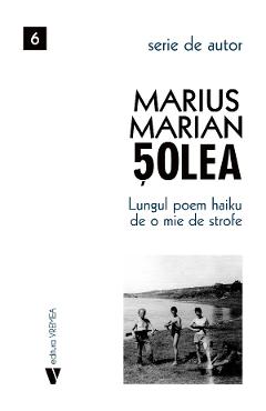 Lungul poem Haiku de o mie de strofe - Marius Marian Solea - VREMEA