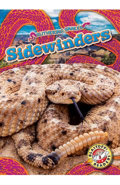 Sidewinders - Joanne Mattern
