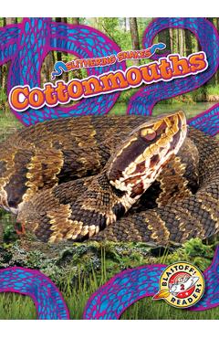 Cottonmouths - Joanne Mattern