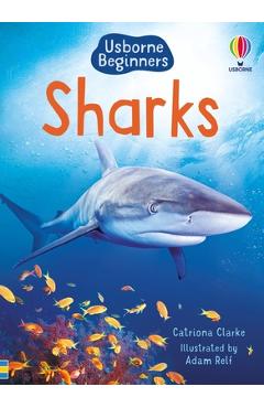 Sharks - Catriona Clarke
