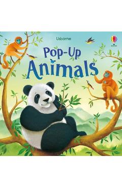 Pop-Up Animals - Anna Milbourne - Imagine 1