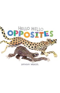 Hello Hello Opposites