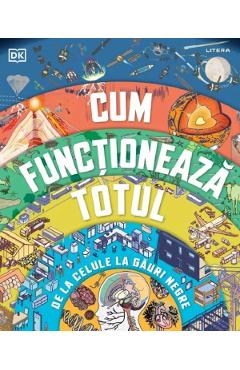 Cum functioneaza totul