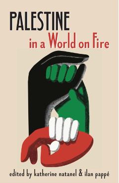 Palestine in a World on Fire - Katherine Natanel