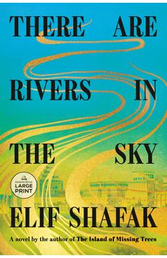 There Are Rivers in the Sky - Elif Shafak
