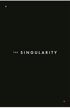 The Singularity - Mat Groom