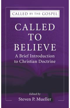 Called to Believe: A Brief Introduction to Christian Doctrine - Steven P. Mueller