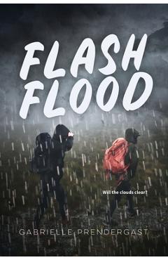 Flash Flood - Gabrielle Prendergast