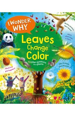 I Wonder Why Leaves Change Color - Andrew Charman