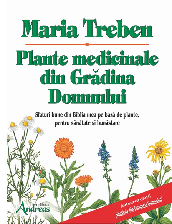 olivenbaum blätter Olivenbaum Balkon kaufen – Green Me Up main image 0