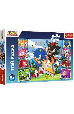 Puzzle 100 Sonic. Minunata lume a lui Sonic