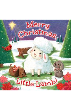 Merry Christmas, Little Lamb! - B&h Editorial