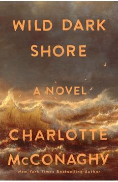 Wild Dark Shore - Charlotte Mcconaghy