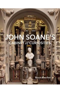 John Soane\'s Cabinet of Curiosities: Reflections on an Architect and His Collection - Bruce Boucher