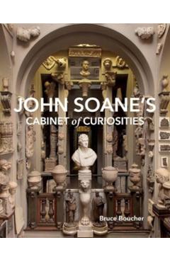 John Soane's Cabinet of Curiosities: Reflections on an Architect and His Collection - Bruce Boucher
