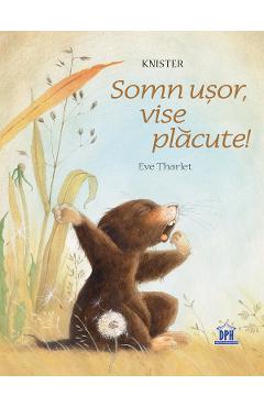 Somn usor, vise placute! - Knister - DIDACTICA PUBLISHING HOUSE