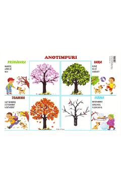 Plansa. Anotimpuri - ERC PRESS
