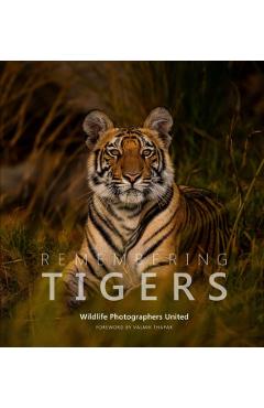 Remembering Tigers - Margot Raggett