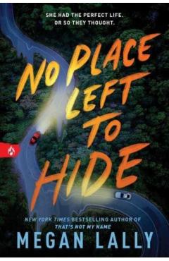 No Place Left to Hide - Megan Lally