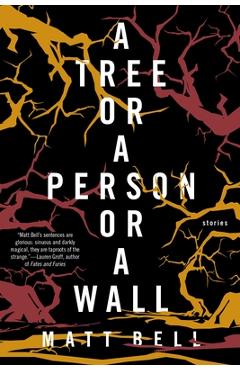 A Tree or a Person or a Wall: Stories - Matt Bell