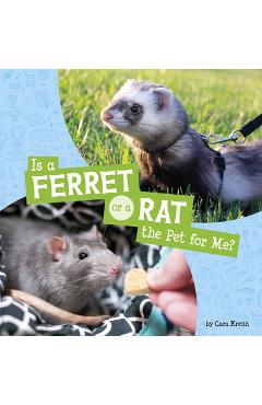 Is a Ferret or a Rat the Pet for Me? - Cara Krenn