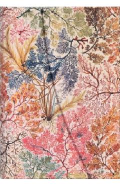 Jurnal: Mini. William Kilburn Anemone
