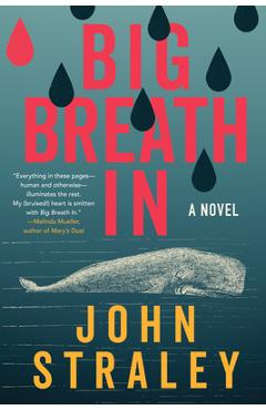 Big Breath in - John Straley