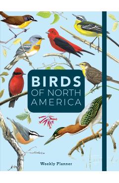 Birds of North America: Undated Weekly and Monthly Planner - Editors Of Rock Point
