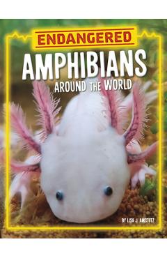 Endangered Amphibians Around the World - Lisa J. Amstutz