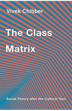 The Class Matrix: Social Theory After the Cultural Turn