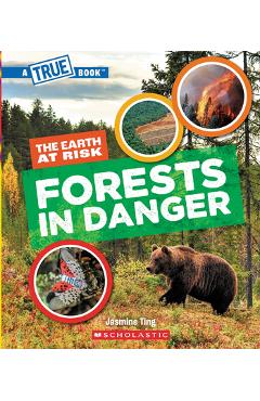 Forests in Danger (a True Book: The Earth at Risk) - Jasmine Ting