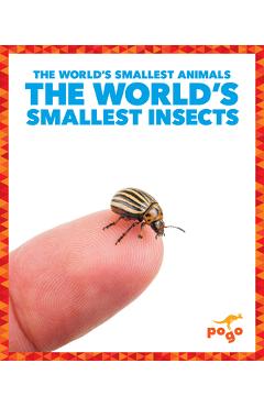 The World\'s Smallest Insects - Becca Becker