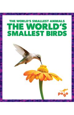 The World\'s Smallest Birds - Becca Becker