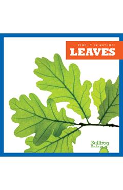 Leaves - jenna lee gleisner