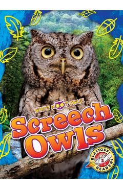 Screech Owls - Rachael Barnes