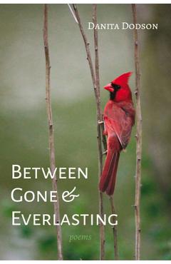 Between Gone and Everlasting - Danita Dodson