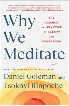 Why We Meditate: The Science and Practice of Clarity and Compassion - Daniel Goleman