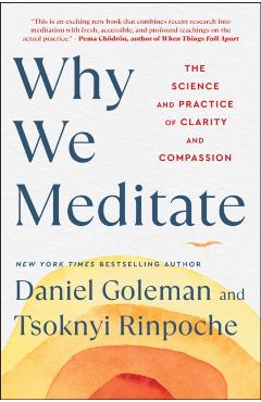 Why We Meditate: The Science and Practice of Clarity and Compassion - Daniel Goleman