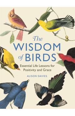 The Wisdom of Birds: Essential Life Lessons for Positivity and Grace - Alison Davies