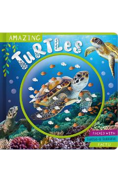 Amazing turtles - naomi churn
