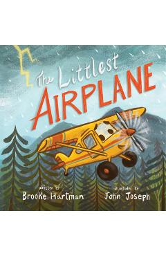 The Littlest Airplane - Brooke Hartman