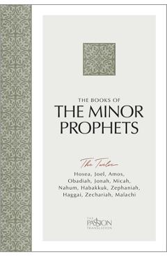 The Minor Prophets: The Twelve (the Passion Translation) - Brian Simmons