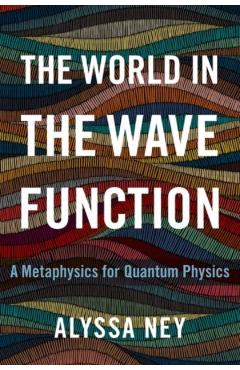 The World in the Wave Function: A Metaphysics for Quantum Physics - Alyssa Ney