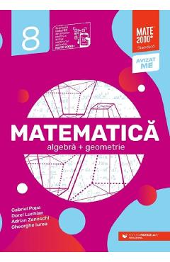Matematica - Clasa 8 - Standard - Gabriel Popa, Dorel Luchian, Adrian Zanoschi, Gheorghe Iurea - PARALELA 45