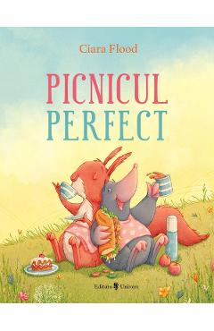 Picnicul perfect - Ciara Flood - UNIVERS